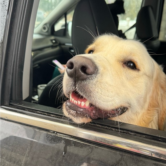 Meet your Posher, Scott - Picture 1 of 1